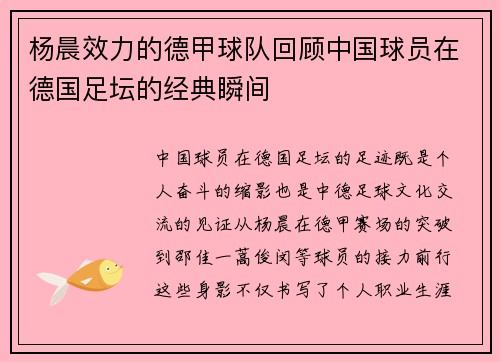 杨晨效力的德甲球队回顾中国球员在德国足坛的经典瞬间